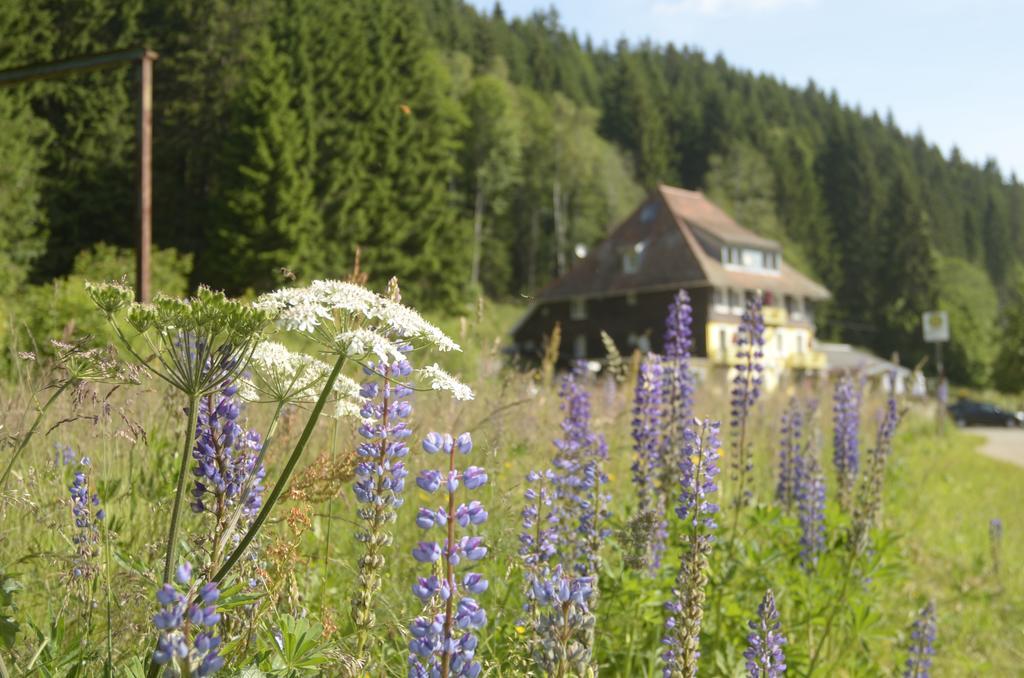 Gasthaus Hotel Loeffelschmiede Фелдберг Екстериор снимка