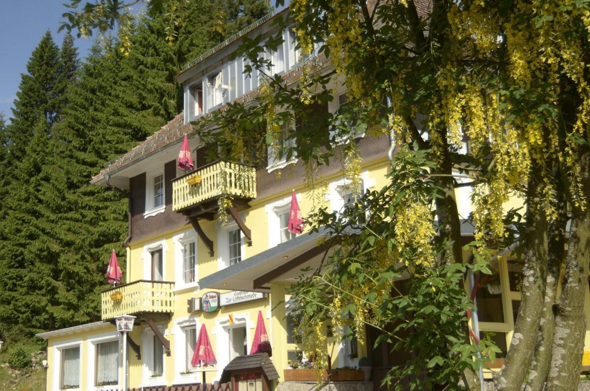 Gasthaus Hotel Loeffelschmiede Фелдберг Екстериор снимка